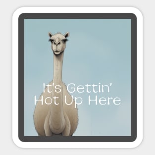 Camel It's gettin' hot up here Sticker